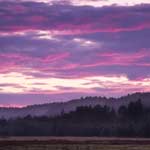 Field At Dusk