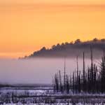 Frozen Marsh